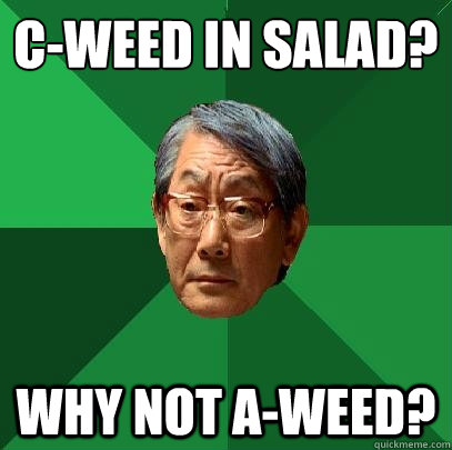 C-weed in salad? WHY NOT A-Weed?  High Expectations Asian Father