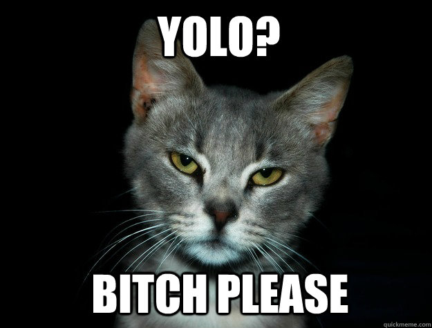 Yolo? Bitch please  Unimpressed Cat