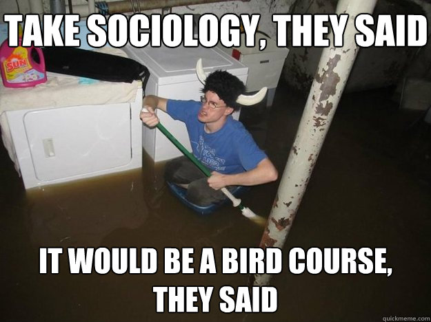 Take sociology, they said It would be a bird course, they said - Take sociology, they said It would be a bird course, they said  Do the laundry they said