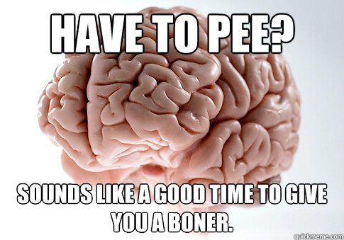 Have to pee? Sounds like a good time to give you a boner.  Scumbag Brain