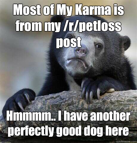 Most of My Karma is from my /r/petloss post Hmmmm.. I have another perfectly good dog here  Confession Bear