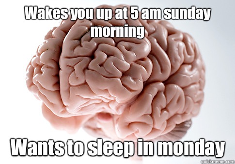 Wakes you up at 5 am sunday morning Wants to sleep in monday   Scumbag Brain