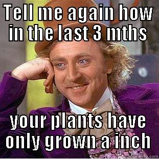 HYDROPONICS FAIL - TELL ME AGAIN HOW IN THE LAST 3 MTHS YOUR PLANTS HAVE ONLY GROWN A INCH Condescending Wonka