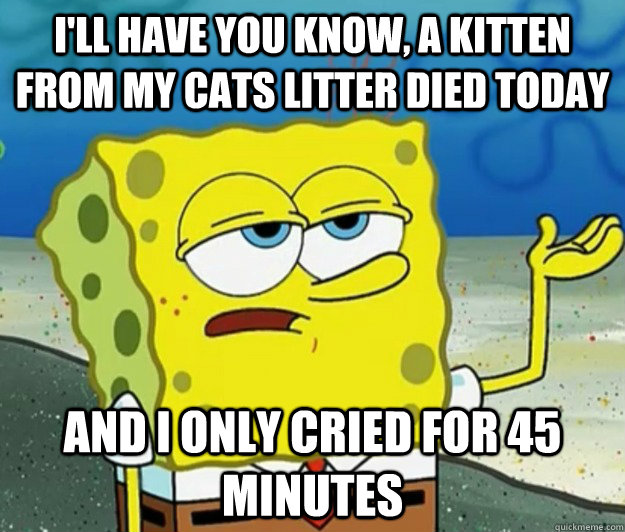 i'll have you know, a kitten from my cats litter died today and i only cried for 45 minutes  Tough Spongebob