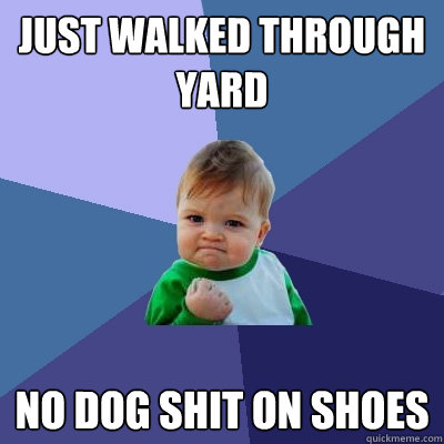 just walked through yard no dog shit on shoes  Success Kid