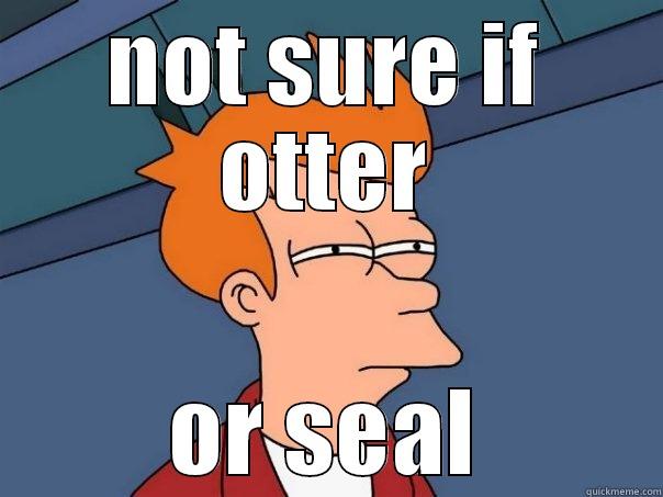 NOT SURE IF OTTER OR SEAL Futurama Fry