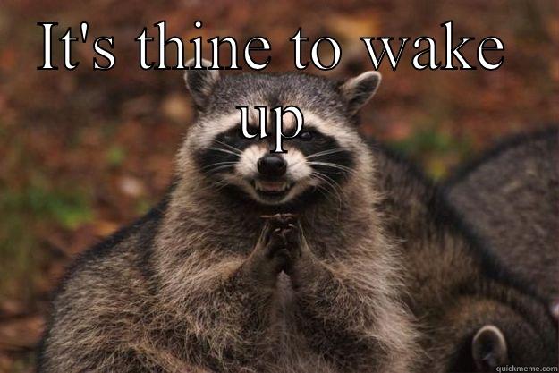 IT'S THINE TO WAKE UP  Evil Plotting Raccoon