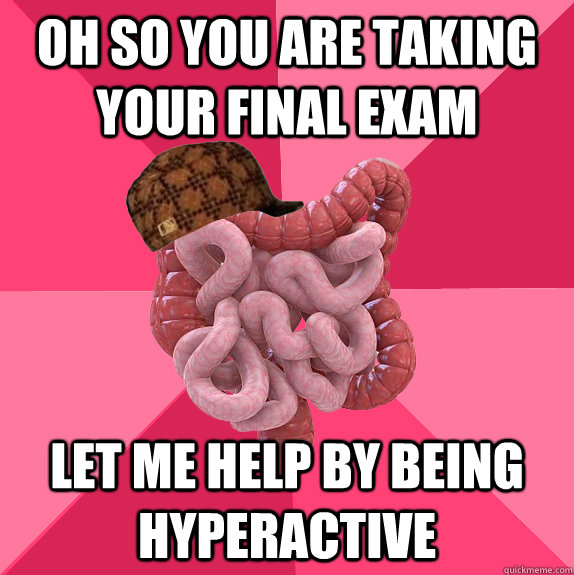 oh so you are taking your final exam let me help by being hyperactive  Scumbag Intestines