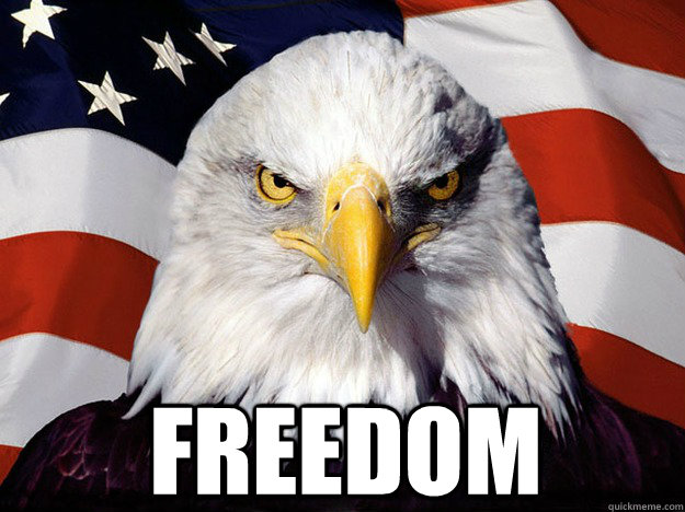  FREEDOM  Patriotic Eagle