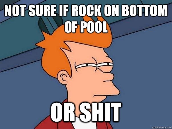 Not sure if rock on bottom of pool or shit  Futurama Fry