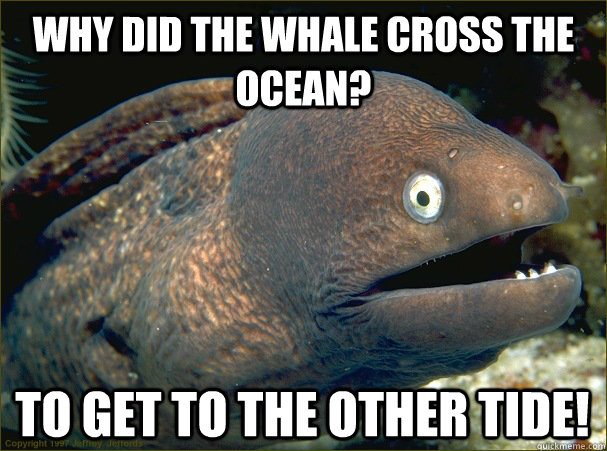 Why did the whale cross the ocean? To get to the other tide!  Bad Joke Eel