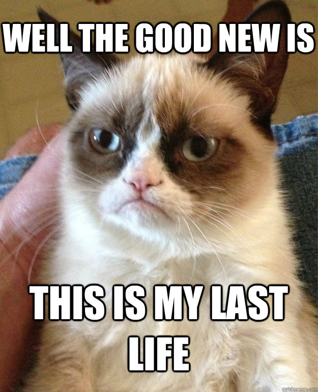 Well the good new is this is my last life  Grumpy Cat