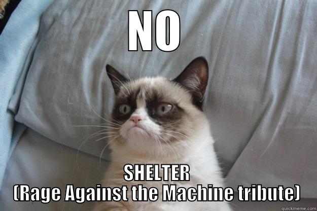 NO SHELTER (RAGE AGAINST THE MACHINE TRIBUTE) Grumpy Cat