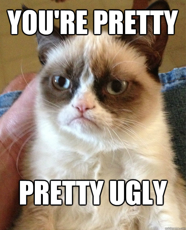 You're pretty Pretty ugly  Grumpy Cat