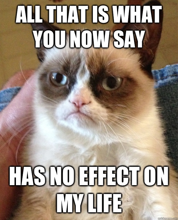 All that is what you now say Has no effect on my life  Grumpy Cat