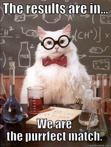  THE RESULTS ARE IN...  WE ARE THE PURRFECT MATCH. Chemistry Cat