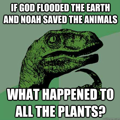 If god flooded the earth and noah saved the animals What happened to all the plants?  Philosoraptor