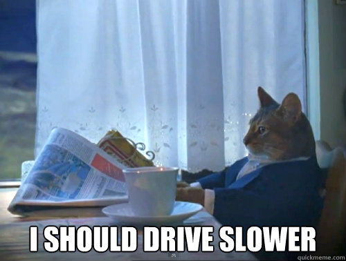 i-should-drive-slower-the-one-percent-cat-quickmeme