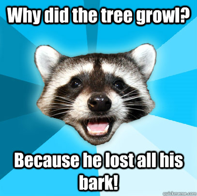 Why did the tree growl? Because he lost all his bark!  Lame Pun Coon