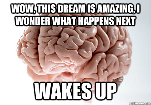 wow, this dream is amazing, i wonder what happens next wakes up  Scumbag Brain