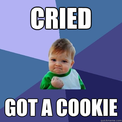 cried got a cookie  Success Kid