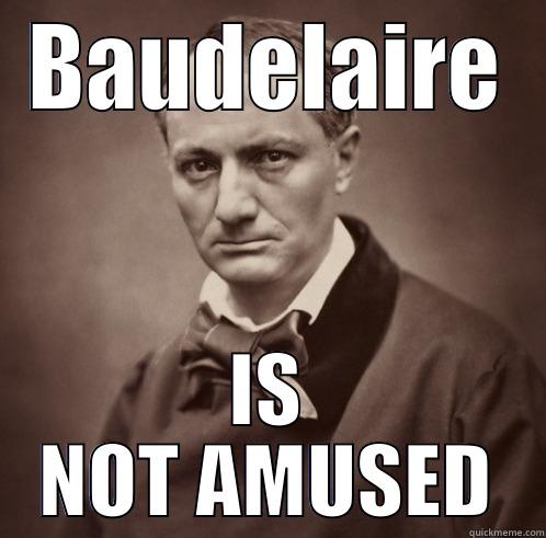 BAUDELAIRE IS NOT AMUSED Misc