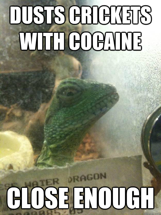 Dusts crickets with cocaine close enough  Leery Lizard