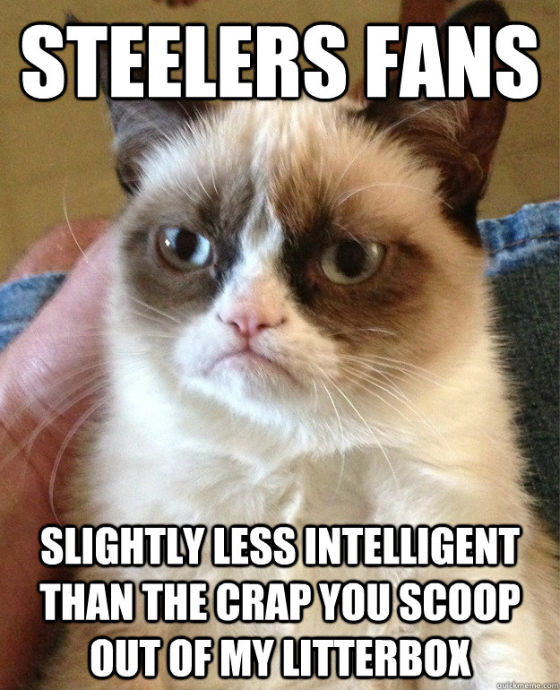 steelers fans Slightly less intelligent than the crap you scoop out of my litterbox  Grumpy Cat