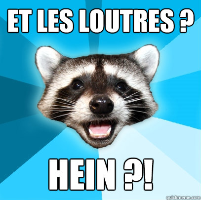 ET LES LOUTRES ? HEIN ?!  Lame Pun Coon