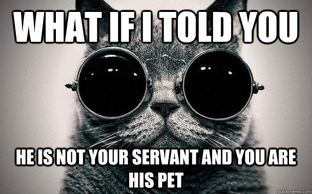 what if I told you he is not your servant and you are his pet  