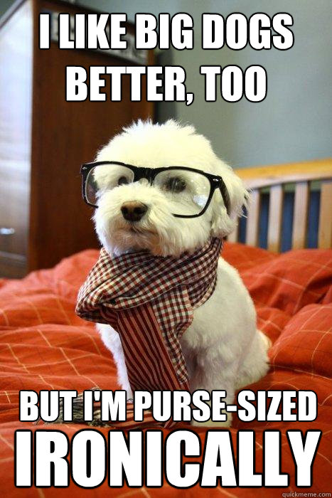 I like big dogs better, too But I'm purse-sized IRONICALLY  Hipster Dog