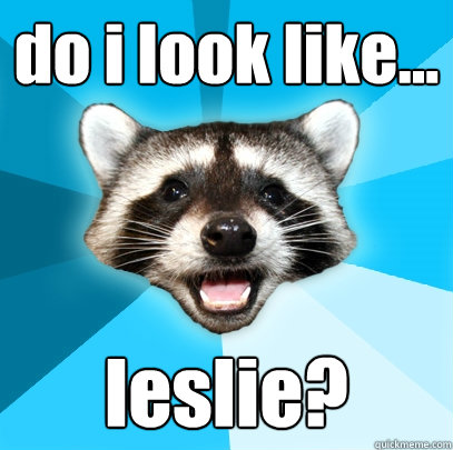 do i look like... leslie? - do i look like... leslie?  Lame Pun Coon