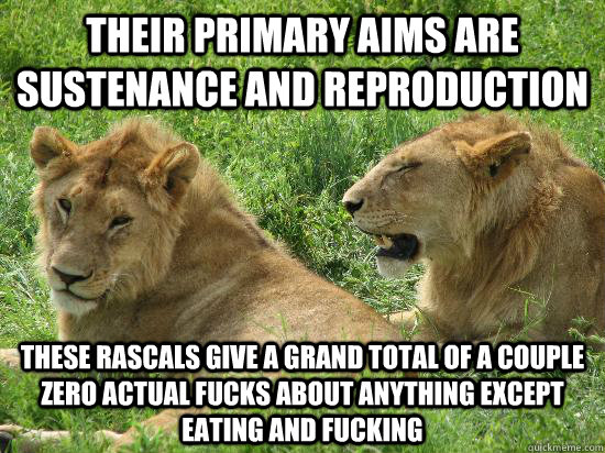 their primary aims are sustenance and reproduction these rascals give a grand total of a couple zero actual fucks about anything except eating and fucking  Animal Planet translated