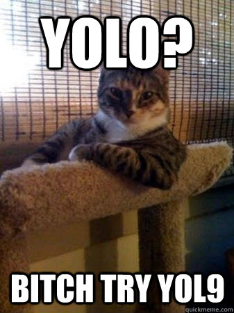 YOLO? bitch try yol9  The Most Interesting Cat in the World