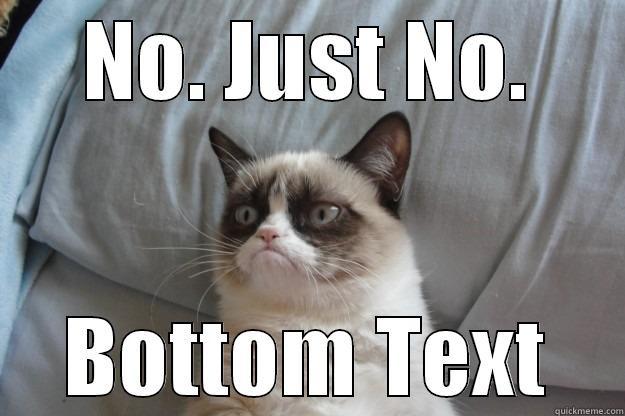 NO. JUST NO. BOTTOM TEXT Grumpy Cat