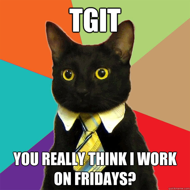 TGIT You really think i work on fridays?  Business Cat