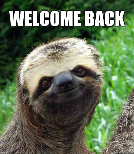 WELCOME BACK  Sloth welcome back