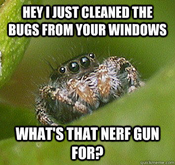 Hey I just cleaned the bugs from your windows What's that nerf gun for?  