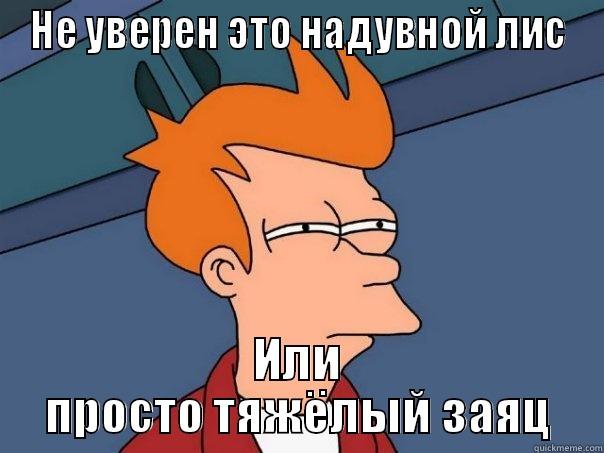 НЕ УВЕРЕН ЭТО НАДУВНОЙ ЛИС ИЛИ ПРОСТО ТЯЖЁЛЫЙ ЗАЯЦ Futurama Fry