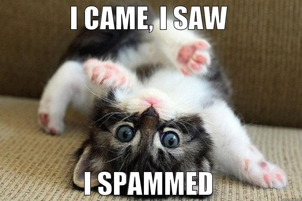 cat spamming - I CAME, I SAW I SPAMMED Business Cat