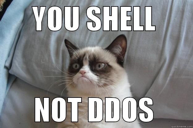 YOU SHELL NOT DDOS Grumpy Cat