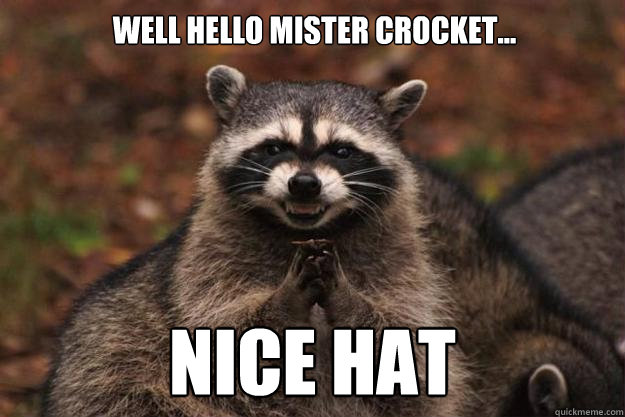 Well hello Mister crocket... nice hat - Well hello Mister crocket... nice hat  Evil Plotting Raccoon