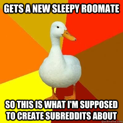 gets a new sleepy roomate So this is what i'm supposed to create subreddits about  Tech Impaired Duck