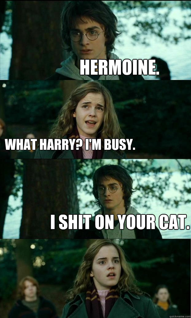 hermoine. What Harry? I'm busy. I shit on your cat.  Horny Harry