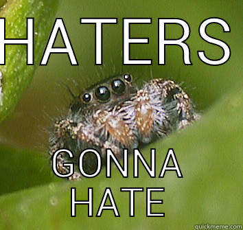 h8rs gonna h8 - HATERS GONNA HATE Misunderstood Spider