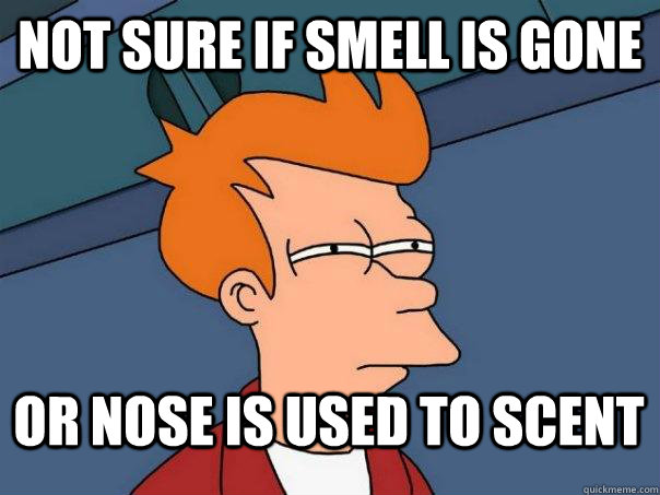 Not sure if smell is gone Or nose is used to scent  Futurama Fry