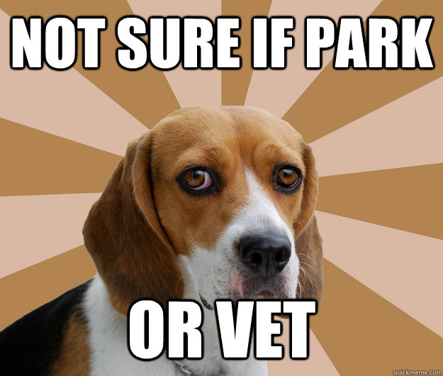 NOT SURE IF PARK OR VET - NOT SURE IF PARK OR VET  Beagle Hall Meme