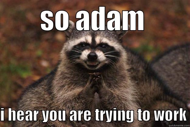 SO ADAM I HEAR YOU ARE TRYING TO WORK Evil Plotting Raccoon