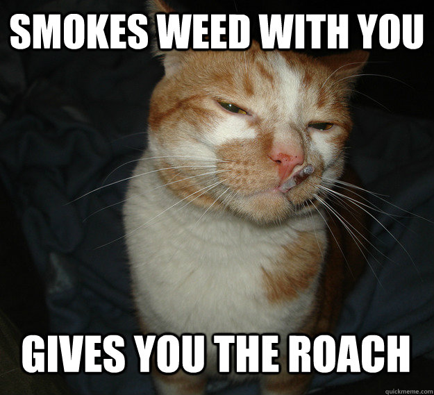 smokes weed with you gives you the roach  - smokes weed with you gives you the roach   Cool Cat Craig