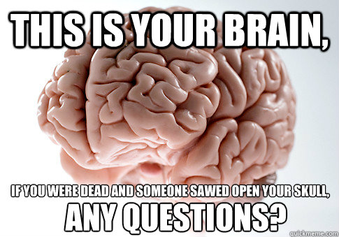 This is your brain, If you were dead and someone sawed open your skull,

   any questions?  Scumbag Brain